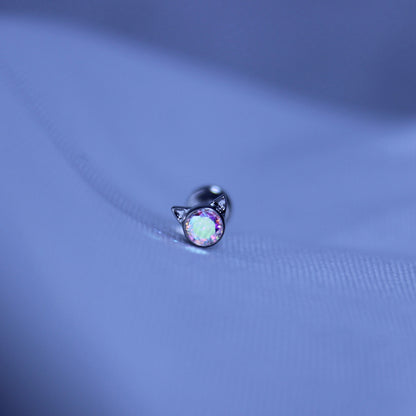 Sugar kitty (aurora boreale)